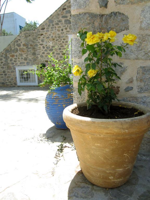 Kiki'S Houses Vlichos Hydra  Buitenkant foto